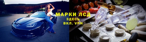 герыч Алексин