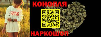 крисы Заводоуковск
