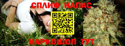 гашик Жуковский
