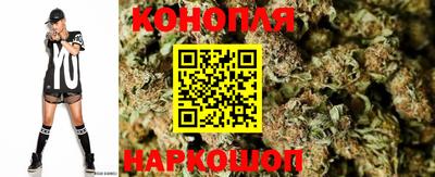 гашик Жуковский