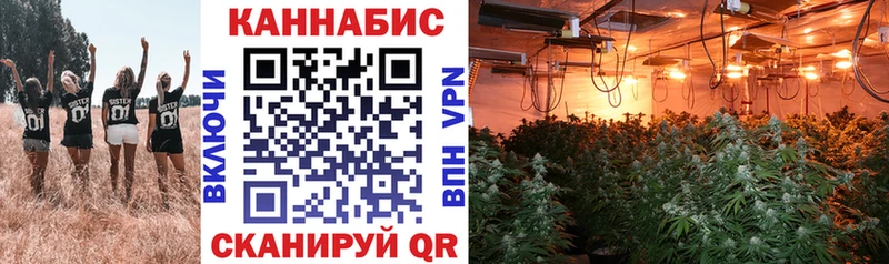 Шишки марихуана AK-47  мориарти как зайти  Ижевск 